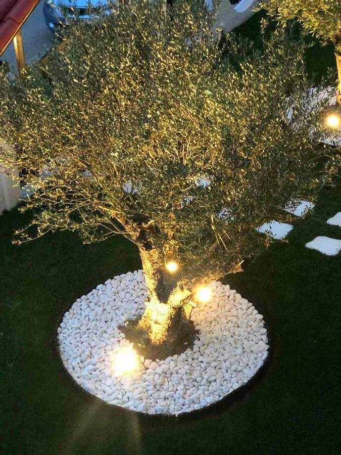 Amaryllis Luxury Rooms بلاتامونيس المظهر الخارجي الصورة