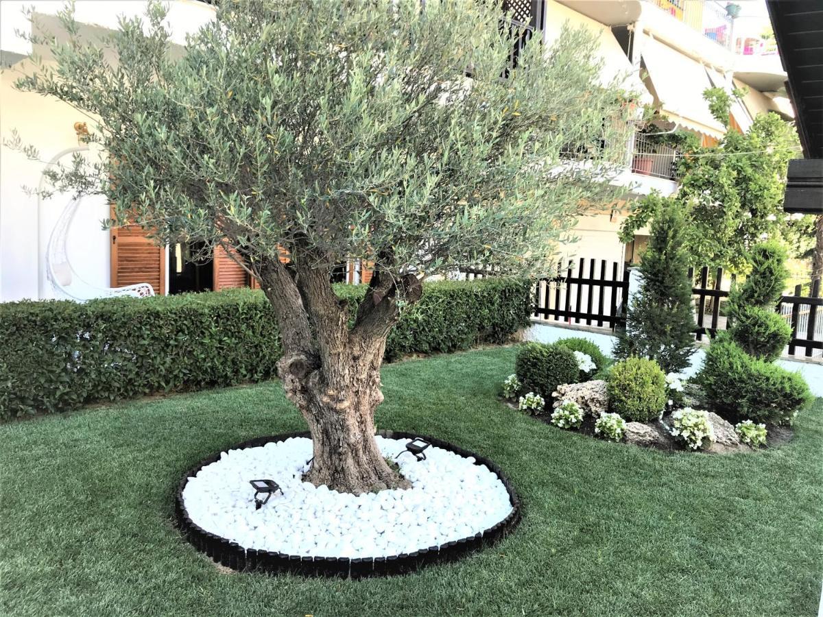 Amaryllis Luxury Rooms بلاتامونيس المظهر الخارجي الصورة